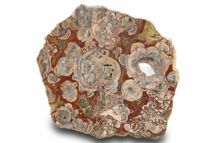 Polished Mushroom Jasper Slab - Arizona #334887